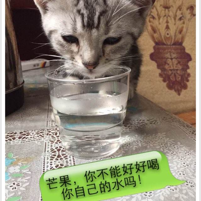 怎么购买威斯敏斯特大学文凭毕业证